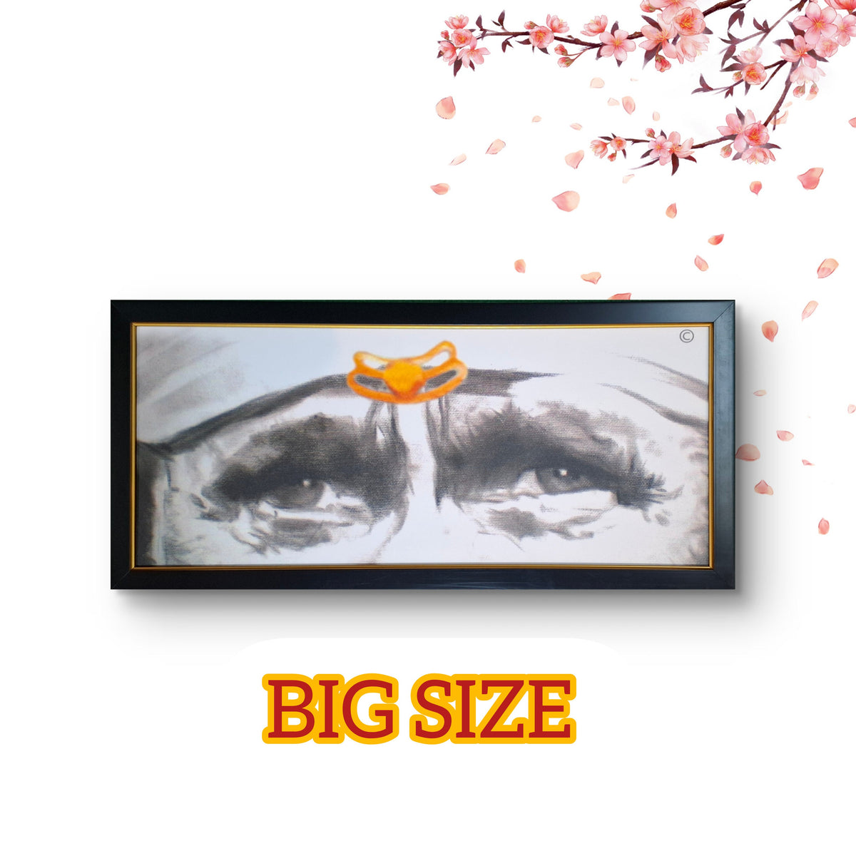 Sai Baba Blessing Eyes Big