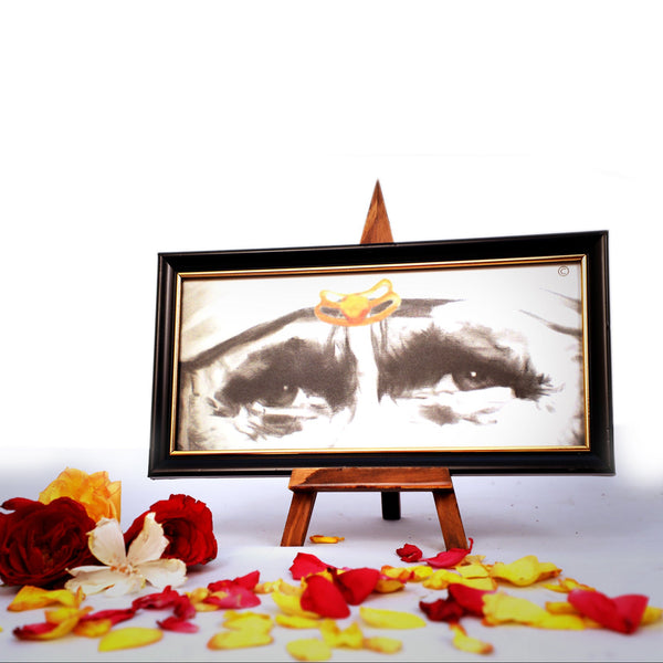 Sai Baba Blessing Eyes Frame